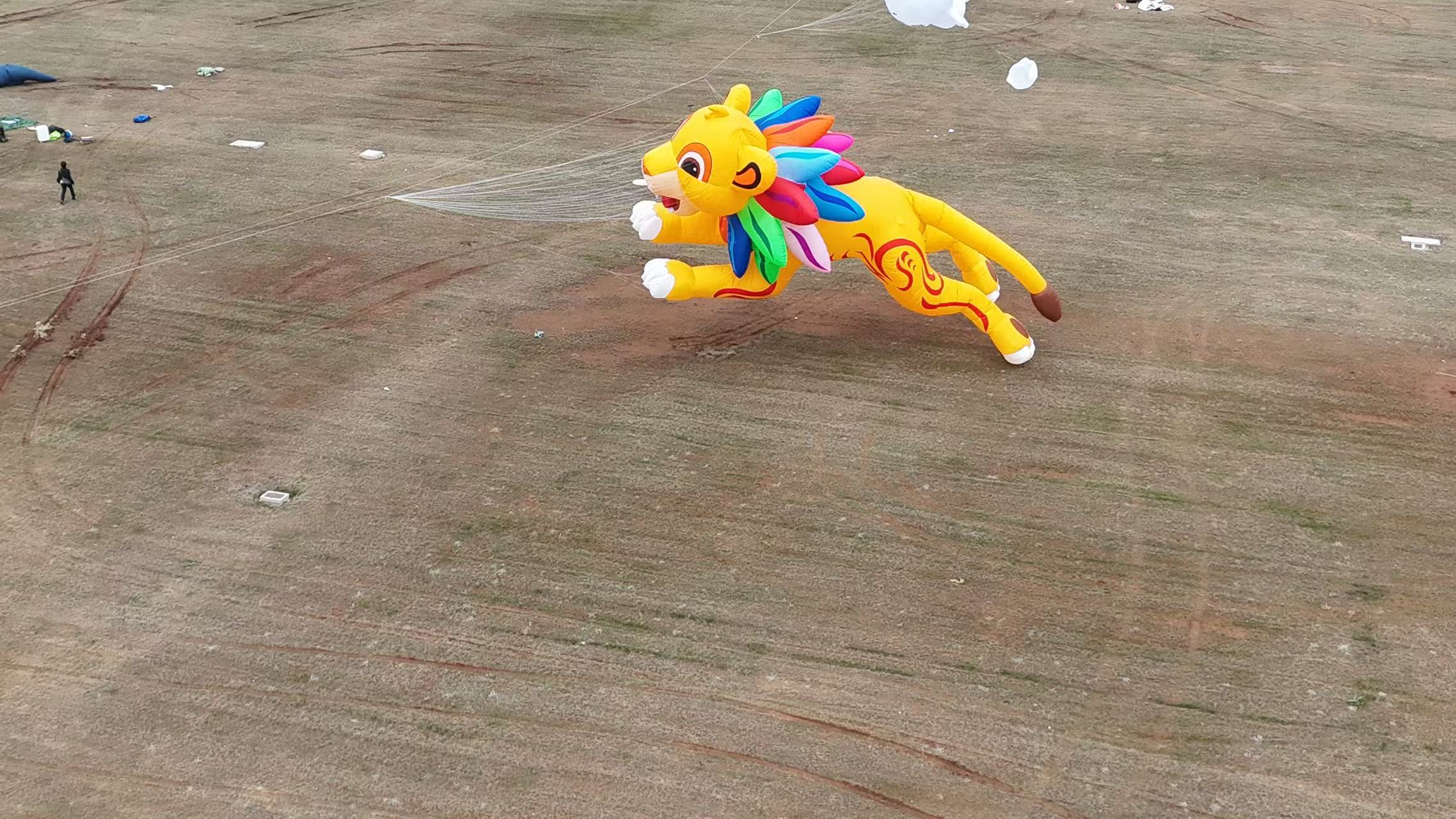 咸宁市品牌风筝定制风筝定制 - 推荐