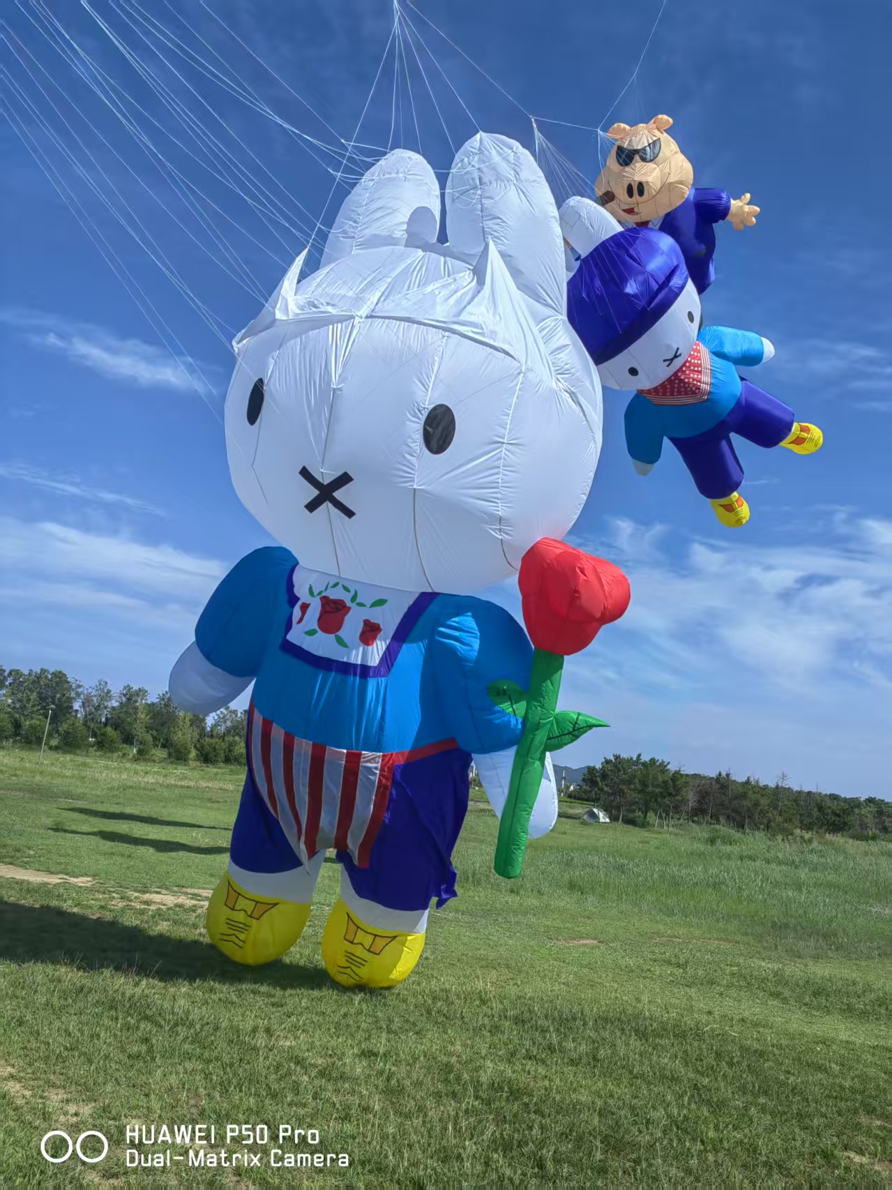 咸宁市儿童风筝定制风筝定制 - 排名