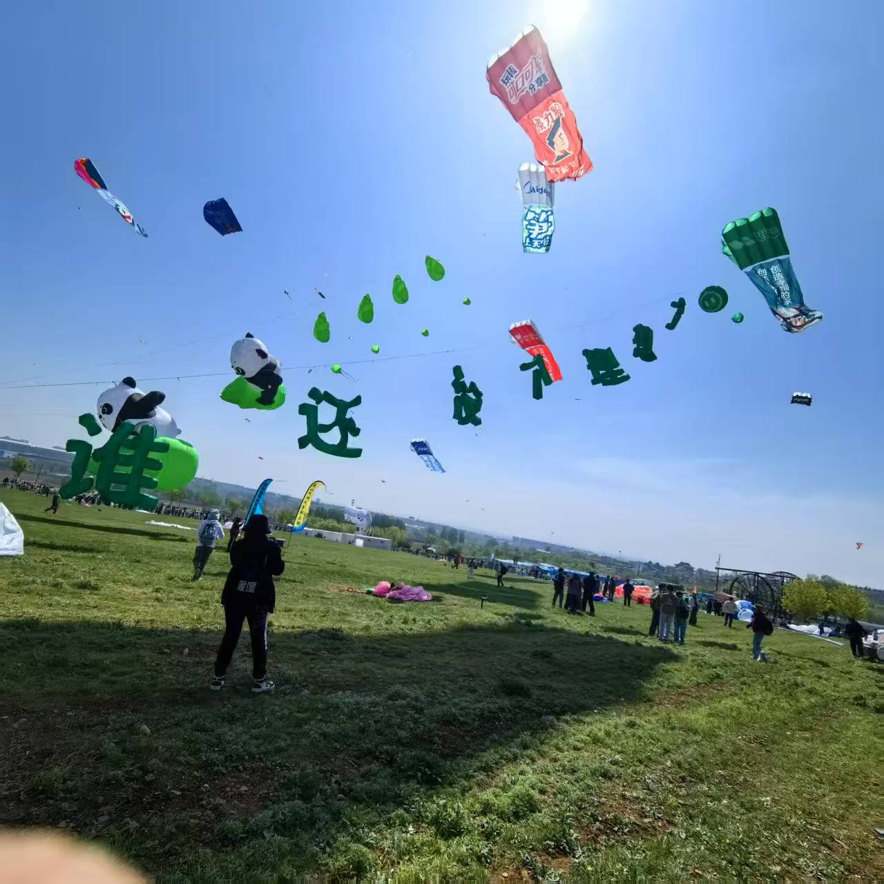 咸宁市软体风筝定制风筝定制 - 价格